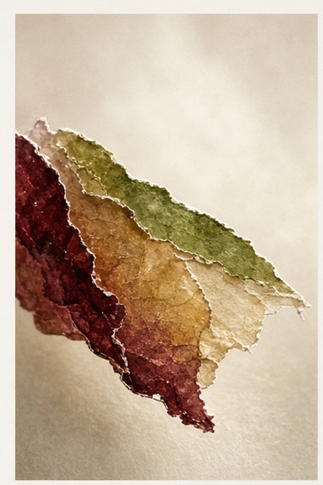 A single paper petal entering a pool of transmitted light
